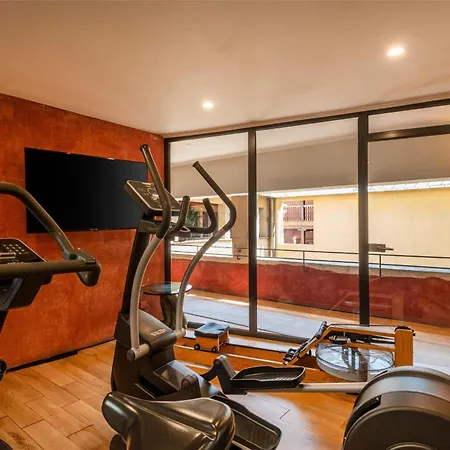 Ξενοδοχείο Cour Des Loges Lyon, A Radisson Collection