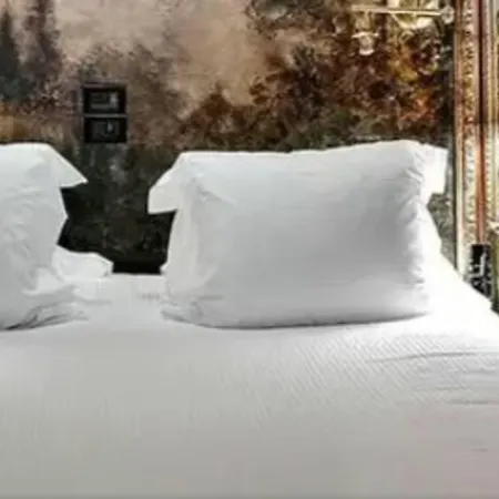 Cour Des Loges Lyon, A Radisson Collection 5* リヨン